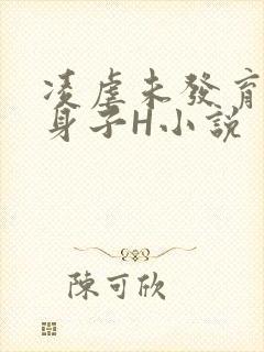 凌虐未发育的小身子H小说