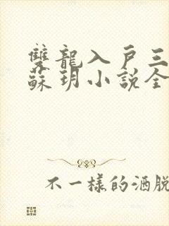 双龙入户三人行苏玥小说全文阅读