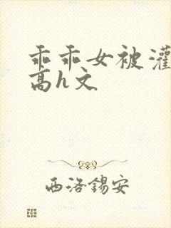 乖乖女被灌满精高h文