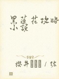 黑莲花攻略手册小说