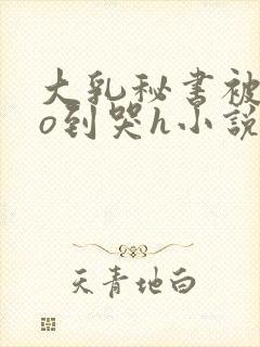 大乳秘书被cao到哭h小说