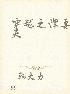 穿越之悍妻共三夫