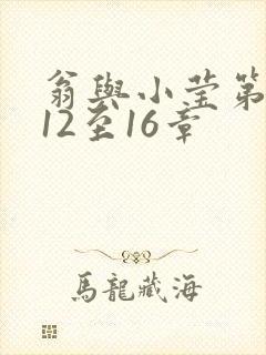 翁与小莹第十部12至16章