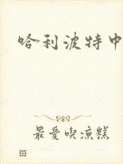 哈利波特中文版