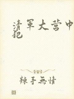 清军大营中的女犯