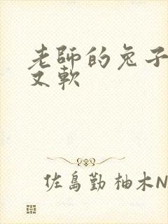 老师的兔子又大又软