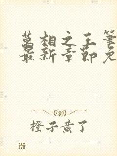 万相之王笔趣阁最新章节免费阅读