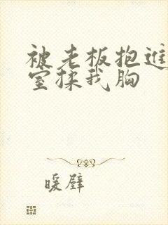 被老板抱进办公室揉我胸