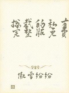 总裁的私有宝贝完整版免费阅读