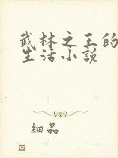 武林之王的退隐生活小说