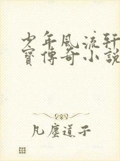 少年风流轩辕大宝传奇小说