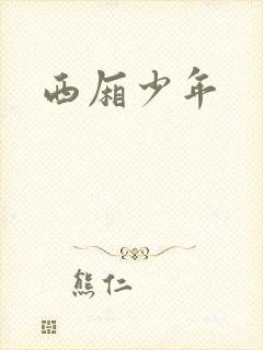 西厢少年
