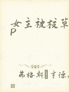 女主被校草们NP