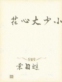 花心大少小说