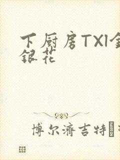 下厨房TXl金银花