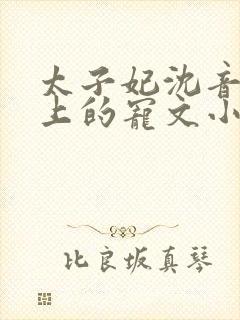 太子妃沈音和皇上的宠文小说