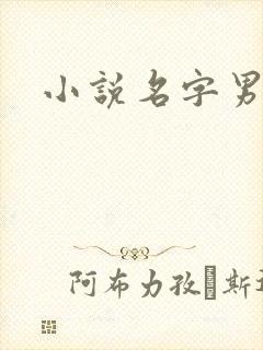 小说名字男生