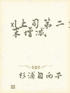 xl上司第二季末增减