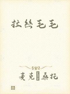拉丝毛毛