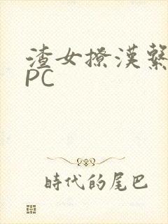 渣女撩汉系统NPC