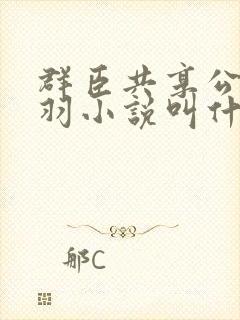 群臣共享公主银羽小说叫什么