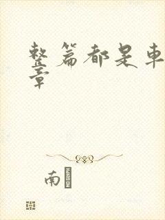 整篇都是车的文章