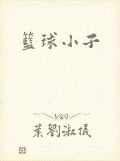 篮球小子
