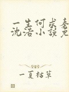 一生何求秦菲雪沈浩小说免费阅读全文笔趣阁