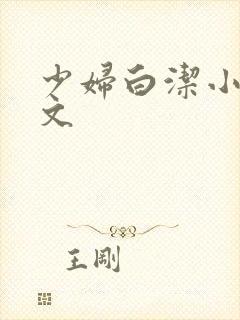 少妇白洁小说全文