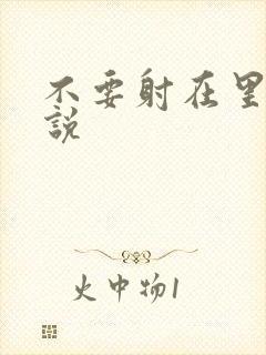 不要射在里面小说