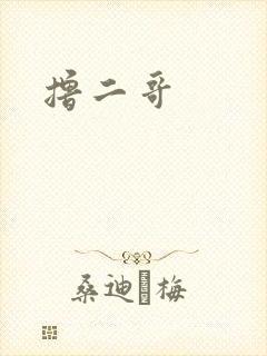 撸二哥