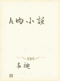 h肉小说