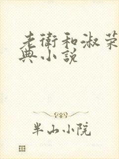 老卫和淑荣的经典小说