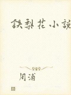 铁梨花小说