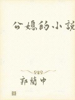 公媳的小说
