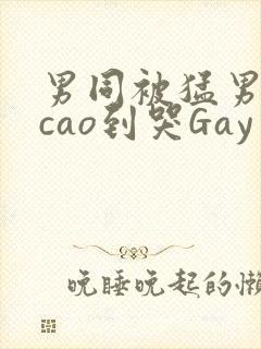男同被猛男房东cao到哭Gay