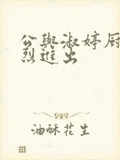 公与淑婷厨房猛烈进出