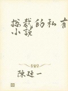 总裁的私有宝贝小说