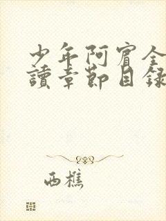 少年阿宾全文阅读章节目录