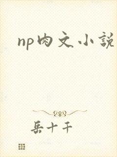np肉文小说