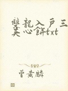 双龙入户三人行夹心饼txt