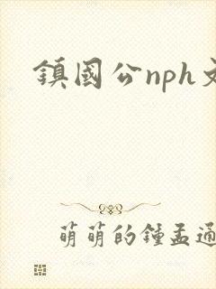 镇国公nph文