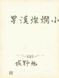 星汉灿烂小说