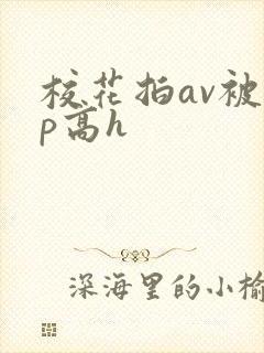 校花拍av被np高h