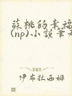 苏桃的幸福生活(np)小说笔趣阁沐沐