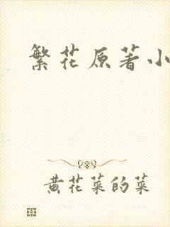 繁花原著小说