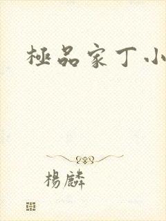 极品家丁小说