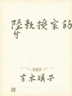 陆教授家的小月牙