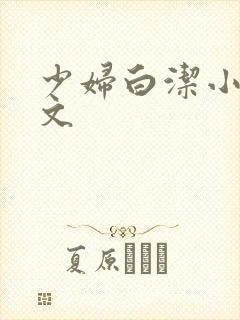 少妇白洁小说全文