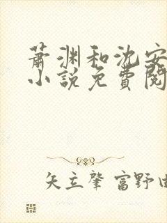 萧渊和沈安安的小说免费阅读